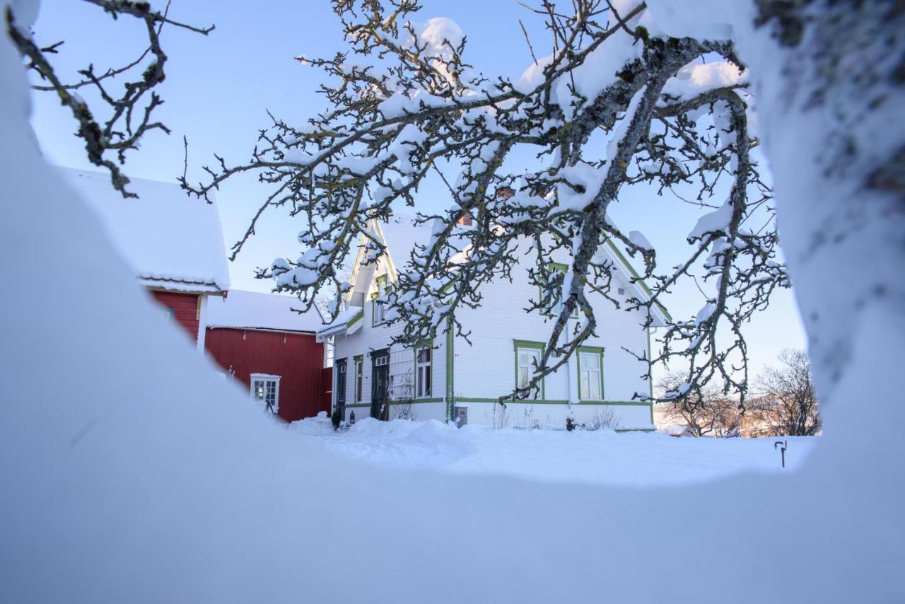 Stromnes - Oldefars Gjestehus Inderoy Straumen  Exterior foto